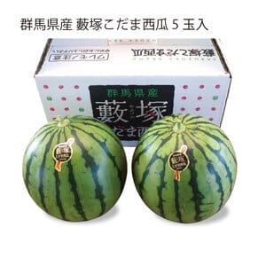 群馬県産 JA太田市 藪塚こだま西瓜 5玉入り【お届け期間:5月27日〜6月29日】【KN】