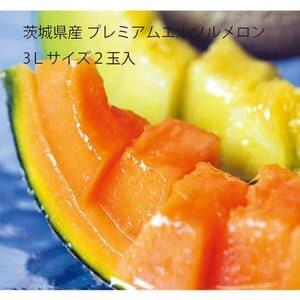 茨城県 JA茨城旭村 プレミアムエルソルメロン 3Lサイズ2玉入り【限定100点】【お届け期間:6月1日〜6月30日】【KN】