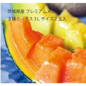 茨城県 JA茨城旭村 プレミアムメロン2種ミックス 3Lサイズ2玉入り(エルソル1玉、クインシー1玉)【限定100点】【お届け期間:6月1日〜6月30日】【KN】