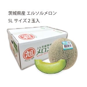 茨城県 JA茨城旭村 エルソルメロン 5Lサイズ2玉入り【限定100点】【お届け期間:6月1日〜6月30日】【KN】