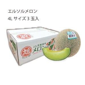 茨城県 JA茨城旭村 エルソルメロン 4Lサイズ3玉入り【限定100点】【お届け期間:6月1日〜6月30日】【KN】