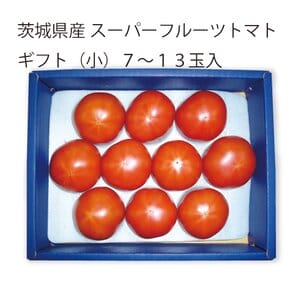茨城県 筑西市地区・桜川市地区 スーパーフルーツトマトギフト(小)7〜13玉入り【お届け期間:5月7日〜6月15日】【KN】