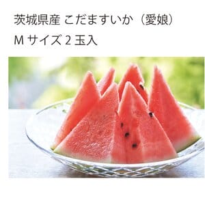 茨城県 筑西市地区 こだますいか(愛娘)Mサイズ 2玉入り【お届け期間:5月12日〜6月30日】【KN】
