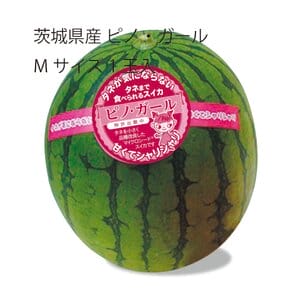 茨城県 筑西市地区 ピノ・ガール Mサイズ 1玉入り【お届け期間:5月19日〜6月30日】【KN】