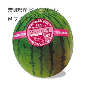 茨城県 筑西市地区 ピノ・ガール Mサイズ 2玉入り【お届け期間:5月19日〜6月30日】【KN】