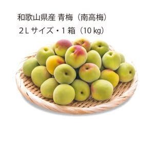 和歌山県産 JAわかやま 青梅(南高梅)2Lサイズ10kg【お届け期間:6月1日〜6月30日】【KN】