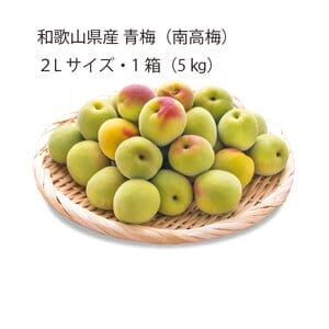 和歌山県産 JAわかやま 青梅(南高梅)2Lサイズ5kg【お届け期間:6月1日〜6月30日】【KN】