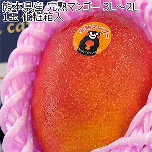熊本県産 マンゴー 3L〜2L 1玉 化粧箱入【お届け期間：5月8日〜5月31日】【Ａセレクション5月】