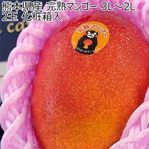 熊本県産 マンゴー 3L〜2L 2玉 化粧箱入【お届け期間：5月8日〜5月31日】【Ａセレクション5月】
