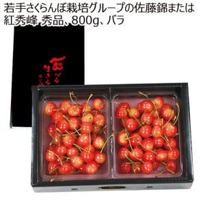山形県産(東根市) 若手さくらんぼ栽培グル-プの佐藤錦または紅秀峰(秀品 800gバラ)【お届け期間:6月14日〜7月5日】【MK】