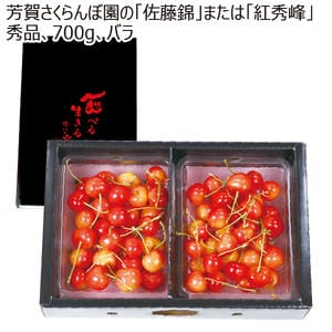 山形県産(寒河江市) 芳賀さくらんぼ園の「佐藤錦」または「紅秀峰」(秀品 700gバラ)【お届け期間:6月14日〜7月5日】【MK】