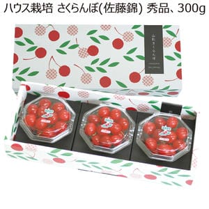 山形県産 ハウス栽培 さくらんぼ(佐藤錦)(秀品 300g)【お届け期間:5月15日〜6月5日】【MK】