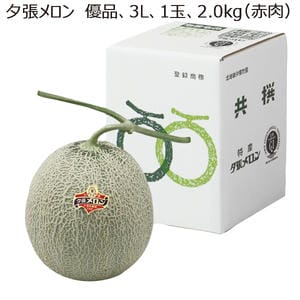北海道(JA夕張市) 夕張メロン 優品3L1玉(2.0kg×1(赤肉))【お届け期間:6月18日〜6月30日】【MK】