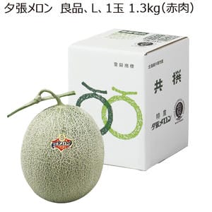 北海道(JA夕張市) 夕張メロン 良品L1玉(1.3kg×1(赤肉))【お届け期間:6月18日〜6月30日】【MK】