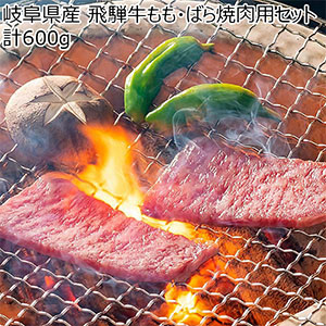 岐阜県産 飛騨牛もも・ばら焼肉用セット 計600g【GW】