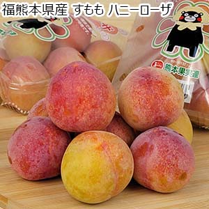 熊本県産すもも ハニーローザ 2パック【限定30点】【お届け期間：5月25日〜6月30日】【GW】