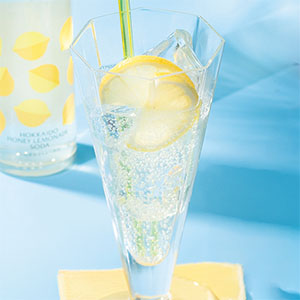 ノースファームストック 北海道ハニーレモネードソーダ7本セット【夏の贈りもの・お中元】[HLN-07]