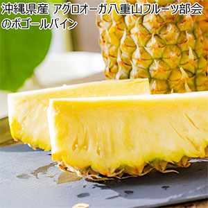 沖縄県(石垣島市)産アグロオーガ八重山フルーツ部会のボゴールパイン計1.5kg(2-3玉入り)【お届け期間:5月9日〜6月30日】【旬鮮便】【NN】