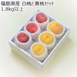 福島県産 白桃と黄桃セット 1.8kg以上【限定100点】【お届け期間：8月10日〜8月31日】【おいしいお取り寄せ】