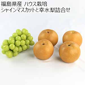 福島県産 ハウス栽培シャインマスカットと幸水梨詰合せ【限定100点】【お届け期間：8月21日〜9月5日】【おいしいお取り寄せ】