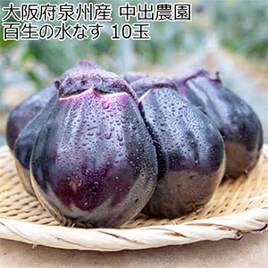 大阪府泉州産 中出農園 百生の水なす 10玉【お届け期間：5月20日〜8月31日】【おいしいお取り寄せ】