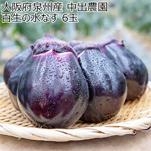 大阪府泉州産 中出農園 百生の水なす 6玉【お届け期間：5月20日〜8月31日】【おいしいお取り寄せ】