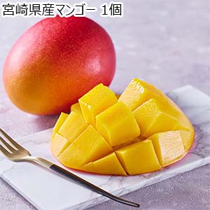 宮崎県産マンゴー 1個【お届け期間：6月1日〜6月30日】【おいしいお取り寄せ】