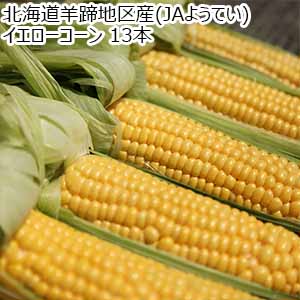 北海道羊蹄地区産(JAようてい) イエローコーン 13本【お届け期間：8月10日〜9月20日】【おいしいお取り寄せ】