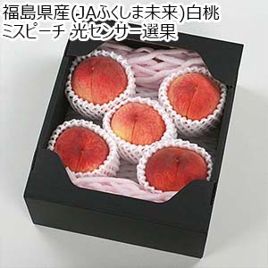 福島県産(JAふくしま未来)白桃 ミスピーチ 光センサー選果【限定400点】【お届け期間：7月6日〜8月10日】【Ａセレクション6月】