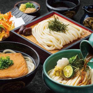 香川 うどん本陣山田家 冷凍讃岐うどん詰合せ(冷凍うどん×10、本造りかけだし×6、本造り釜だし×4、きつね×3、かきあげ×3、天かす×4)【夏の贈りもの・お中元】【NN】