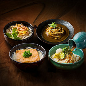 香川 うどん本陣山田家 冷凍讃岐うどん 4種の味の詰合せ(讃岐ぶっかけうどん×4、讃岐カレーうどん×2、讃岐きつねうどん×2、讃岐かきあげうどん×1)【夏の贈りもの・お中元】【NN】
