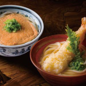 香川 うどん本陣山田家 冷凍讃岐うどん 海老の天ぷらときつねのセット(冷凍うどん×2、本造りかけだし40g×4、えび天ぷら×2、味付きあげ×2)【夏の贈りもの・お中元】【NN】