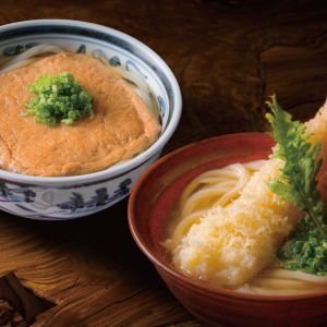 香川 うどん本陣山田家 冷凍讃岐うどん 海老の天ぷらときつねのセット(冷凍うどん(200g×2)×4、本造りかけだし40g×8、えび天ぷら×4、味付きあげ×4)【夏の贈りもの・お中元】【NN】