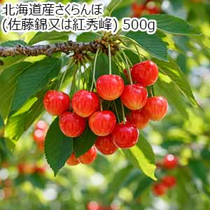 北海道産さくらんぼ(佐藤錦又は紅秀峰) 500g【お届け期間：6月20日〜7月30日】【北海道フェア】