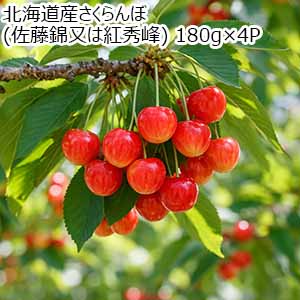 北海道産さくらんぼ(佐藤錦又は紅秀峰) 180g×4P【お届け期間：6月20日〜7月30日】【北海道フェア】