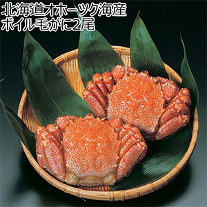 北海道オホーツク海産 ボイル毛がに2尾[1994]【北海道フェア】