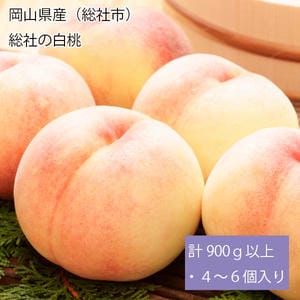 岡山県産(総社市)総社の白桃 計900g以上・4〜6個入り【お届け期間:6月25日〜7月20日】【旬鮮便】【NN】