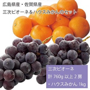 広島県産・佐賀県産 三次ピオーネ＆ハウスみかんのセット 三次ピオーネ計760g以上2房・ハウスみかん1kg【お届け期間:7月15日〜8月10日】【旬鮮便】【NN】