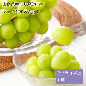広島県産(JA尾道市)シャインマスカット 計580g以上・1房【お届け期間:7月23日〜8月10日】【旬鮮便】【NN】