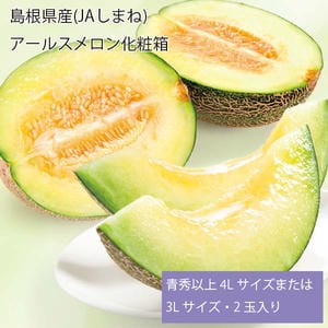 島根県産(JAしまね) アールスメロン化粧箱 青秀以上4Lサイズまたは3Lサイズ・2玉入り【お届け期間:7月5日〜8月11日】【旬鮮便】【NN】