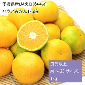 愛媛県産(JAえひめ中央) ハウスみかん 良品以上、M〜2Sサイズ、1kg【お届け期間:8月1日〜9月30日】【旬鮮便】【NN】