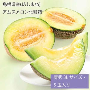島根県産(JAしまね) アムスメロン化粧箱 青秀3Lサイズ・5玉入り【お届け期間:6月1日〜7月28日】【旬鮮便】【NN】