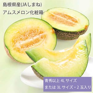 島根県産(JAしまね) アムスメロン化粧箱 青秀以上4Lサイズまたは3Lサイズ・2玉入り【お届け期間:6月1日〜7月28日】【旬鮮便】【NN】