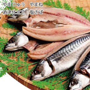 鳥取 やまじゅう やまね 酒津仕立て 塩さば【お届け期間:6月11日〜8月25日】【旬鮮便】【NN】