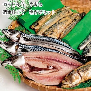 鳥取 やまじゅう やまね 酒津仕立て 塩さばセット【お届け期間:6月11日〜8月25日】【旬鮮便】【NN】