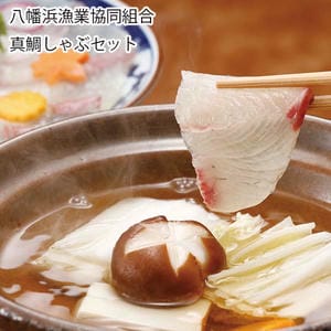 愛媛 八幡浜漁業協同組合 真鯛しゃぶセット【お届け期間:6月11日〜8月25日】【旬鮮便】【NN】