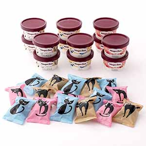 ハーゲンダッツ＆イーペルの猫祭り プチチョコアイス[A-HEP-AE]【イオンゴールドカード会員さま限定特別セール6月】