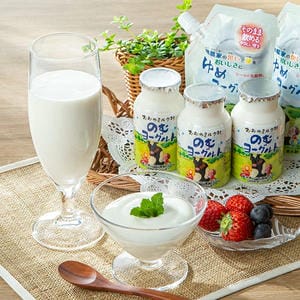 おおのミルク工房 おおのミルク村 ヨーグルト食べ比べセット(ミニ)12本入【おいしいお取り寄せ】