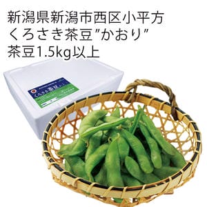 新潟県新潟市西区小平方産 くろさき茶豆「かおり」 1.5kg以上【お届け期間:7月25日〜9月10日】【KN】