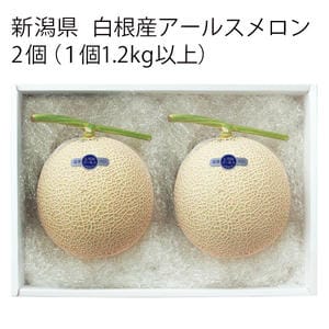 新潟県産 白根産アールスメロン 2個(1個1.2kg以上)【お届け期間:7月21日〜8月20日】【KN】